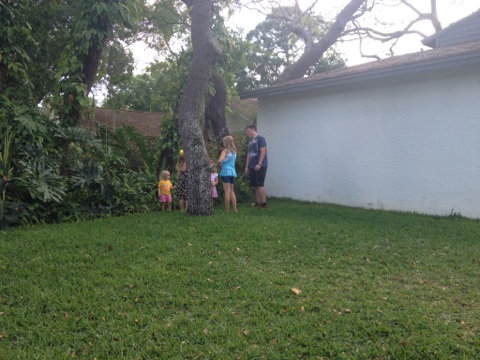 Carrollwood South's 1st Annual Block Party